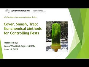 Cover, Smash, Trap: Nonchemical Methods for Controlling Pests