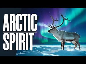 Discover Canada's Wild Side: An Exploration of Diverse Wildlife