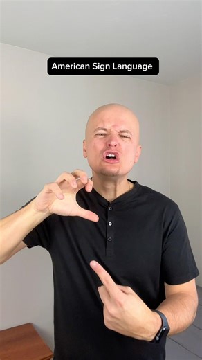 Fantastic sign language for animals! #deaf #signlanguage #animals #learn