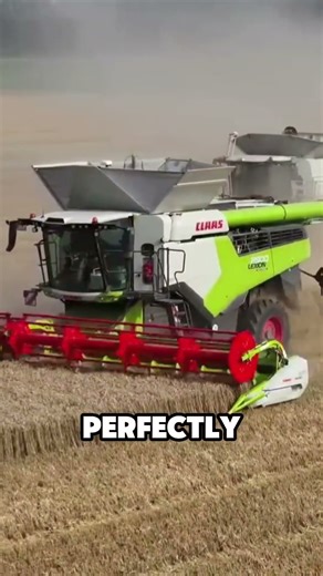 Epic Farming Power! Watch the Combine Harvester Dominate the Fields 😲🌾