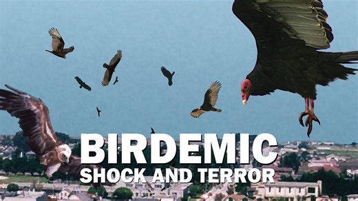 【生肉】【Cult】群鸟： 震惊与恐惧 Birdemic Shock and Terror (2010)