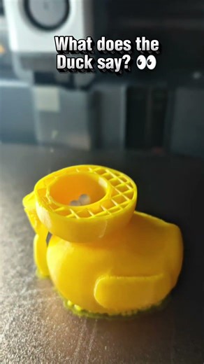 What Does the Duck Say? 👀 #3dprinting #diy #toys