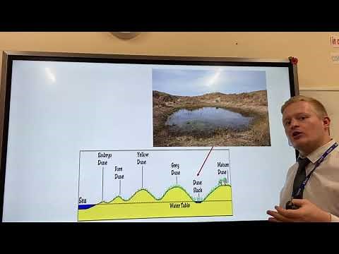 Sand Dune Formation (Coastal Landforms of deposition) - OMG Revision - GCSE Geography 9-1