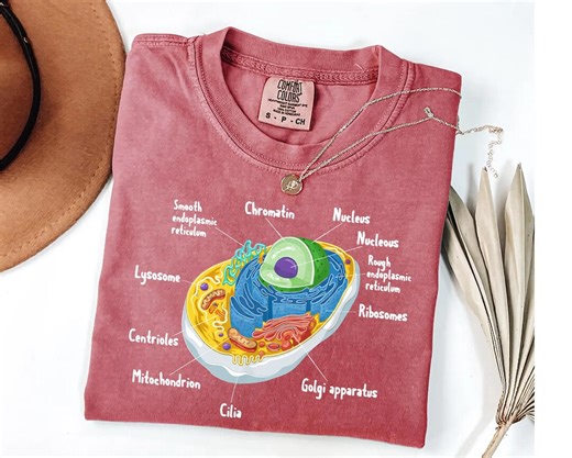 Biology Cell Diagram Shirt, Science Student Tee - Etsy