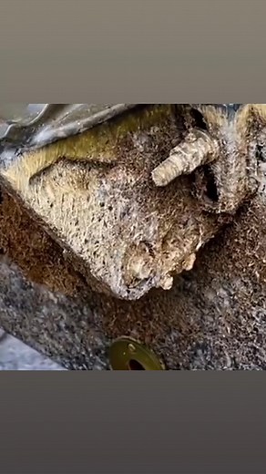 2.1K views | @goldenboatlifts are a game changer! Why? This boat...