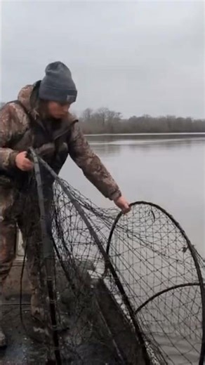 LOADED WITH FISH #viral #shorts #fish #nets #howto #netfishing