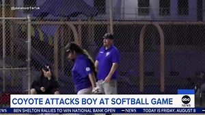 13K views · 155 reactions | COYOTE ATTACKS BOY AT SOFTBALL GAME: The 6-year-old is talking about how he fought back. ABC's Andrea Fujii has the shocking video. | World News Now | Facebook
