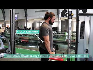 How To Do Triceps Pushdown | Exercise Demo