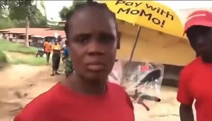 13K views · 218 reactions | The “pig birth” story takes another...