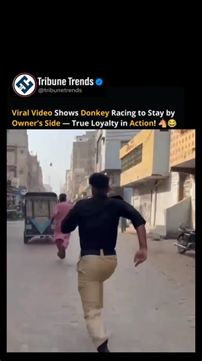 A viral video shows a donkey running right alongside its owner when a force official approached — clearly, this four-legged friend is super loyal! 🐴😂 #FunnyAnimals #DonkeyLove #LoyalFriend #ViralVideo #AnimalHumor #Karachi #Tribunetrends | Tribune Trends