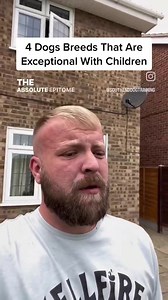 2.2M views · 23K reactions | 4 Breeds Exceptional With Children…. … there are loads of breeds known for being great with children so don’t worry if your breed isn’t on the list. Boxers, Greyhounds, Springers, St Bernard’s, Pugs the list goes on. I’m reality most dogs, raised properly who are taught manners and respect around children and vice versa can grow up happily together without issues. #dogsofinstagram #dogtraining #staffie | Southend Dog Training | Facebook