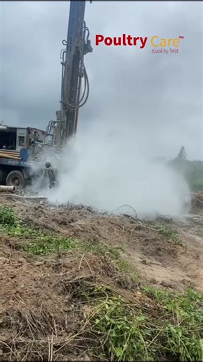 Building a Mega Poultry Farm: Pilot Project Insights