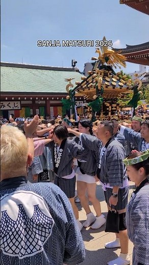 【江戸姫會】三社祭2026｜浅草寺に集結する神輿【SANJA MATSURI】