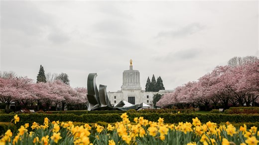 Oregon Legislature considers several dozen bills to limit public records access
