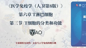 06章03节_T细胞的分类和功能
