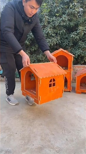 Pesquet's Parrot Wooden Nest Box🏘🏘🏚🏚🏚🏠🏠
