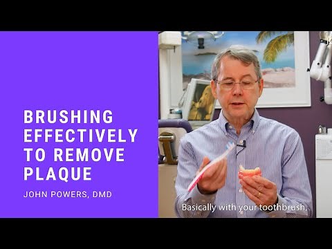 Tips on Brushing Teeth Properly | Remove Plaque at Home!