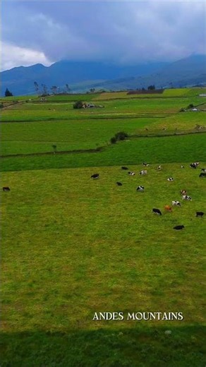 ECUADOR Looks Too Beautiful to Be Real 🇪🇨