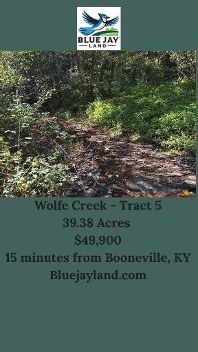 Ready to find your own slice of paradise? 🌳 Only 15 minutes from Booneville, KY, this mostly wooded retreat is a dream come true for outdoor enthusiasts. From plentiful deer and turkey to tranquil forest views, every day here feels like an adventure. It’s the perfect spot for hunters, campers, or anyone wanting to disconnect and recharge. The property features a cleared area—ideal for your future cabin or camper setup—or just bring your gear and enjoy prime hunting and recreation right at your 
