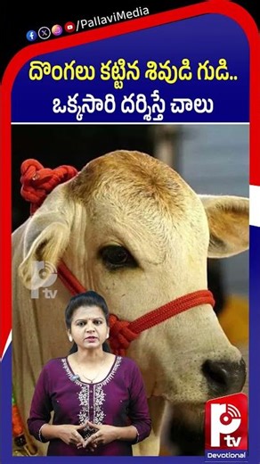 దొంగలు కట్టిన శివుడి గుడి.. ఒక్కసారి దర్శిస్తే చాలు | Mystery of Donga Mallanna Temple | Jagitial