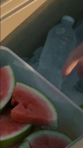 Chill Out: Top Portable Coolers for 2024 Adventures