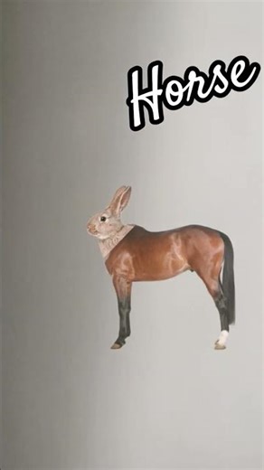 #runfast horse #viral #trending