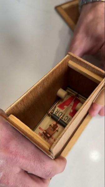 Mouse trap exploding box!