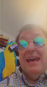 184 reactions · 22 shares | 8-week online classes are beginning soon: Theater Appreciation, Music Appreciation, Introduction to Computers, Accounting Software Applications and College Transfer Success. Current students should register today in WebAdvisor. New students should apply today at www.mcdowelltech.edu under New Students. For more information, contact Student Services at 828-652-6021. | McDowell Technical Community College | Facebook