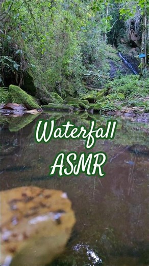 Pure waterfall ASMR. Quiet enough to tickle your senses 💧🌿 #asmr
