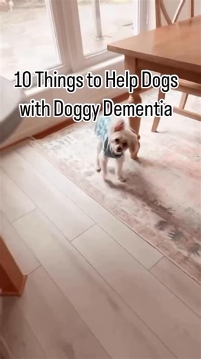 Senior Dogs | Dr. Monica Tarantino 🐶😻 Veterinarian on Instagram: "Cognitive dysfunction syndrome is one of the diseases that is truly underrated for just how hard it can be on pet parents caring for dogs with the disease. Follow and Comment DEMENTIA for my free checklist, ‘Is it Doggy Dementia?’. If you’ve had a dog with dementia, share a part of your experience or something that helped your old dog with dementia below👇🏼💕🙌 . . .#seniordogs #cognitivedysfunctionsyndrome"