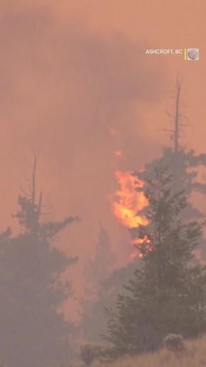 The Weather Network's Jacyln Whittal has been providing the latest updates on the Shetland Creek wildfire in Ashcroft, BC, speaking with experts and residents. The fire has caused severe smoky conditions and low visibility, eventually leading to the closure of the Trans-Canada Highway on Sunday evening. #wildfire #BritishColumbia #ShetlandCreek #news #Canada #Weather #weathernews #weathertok #TransCanadaHighway #fires #BCfires #firesafety