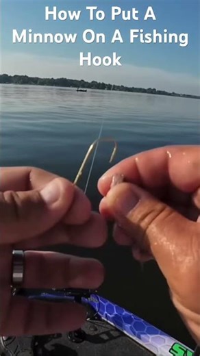 FISHING-How To Put A Minnow On A Hook #fishingtips