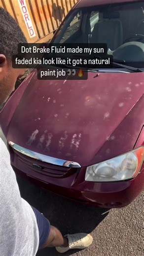 Testing Different Fluids on Car Paint