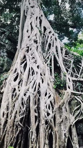 Secrets of the Khmer Empire Hidden in These Temples”