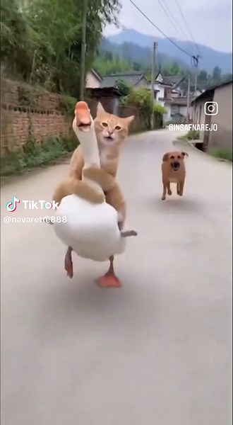 Navarette888 (@navarette888)’s videos with original sound - Navarette888