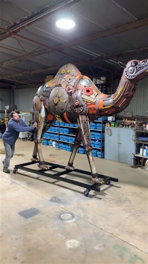 How good are castor wheels! Moving 600kg of dromedary camel in the workshop. I wonder how she would go being towed behind the ute upto Broome | George Harper