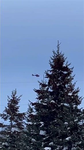 Gemini Heli H145 ￼ Helicopter #aviation #helicopter #commercialaircraft #viralvideo #flyp #flying