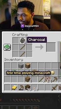 My FIRST time playing Minecraft