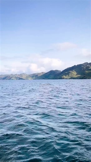 Few places in Scotland are as rugged and remote as Knoydart. With no road access and just over 100 inhabitants, the peninsula has long held a place in our hearts and hiking calendars. But this year will be our final season guiding trips here, the landscape where Wilderness Scotland began more than 20 years ago. If you’ve ever dreamed of standing on these quiet loch shores, spotting playful dolphins and being immersed in Scotland’s last true wilderness, this is your time. #WildernessScotland #Lov