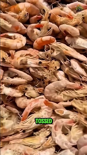 Handmade and Machine Perfected — Dried Shrimp Secrets