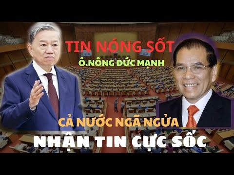 Tin Tức Việt Nam Mới Nhất 11/11/2025 - Cập Nhật Chính Trị #bantin24h