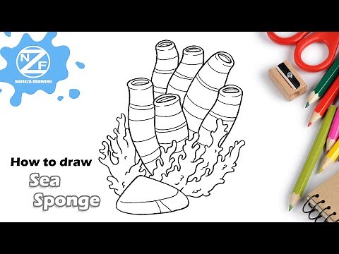 How to draw Sea Sponge