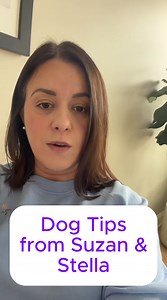 Simple dog care tips every owner should know