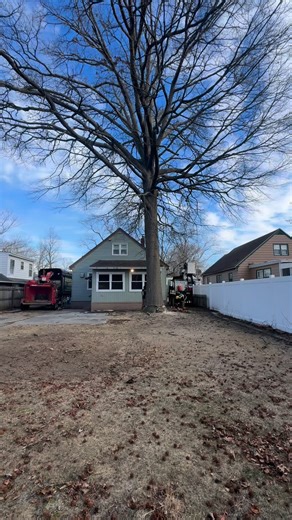 From a towering tree to a wide open backyard. Our licensed and insured crew safely took down this giant for happy homeowners to enjoy their space! | A Cut Above Tree Service Of PA