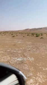 24K views · 619 reactions | #hunting #falcon #rabit | Hunting Club Balochistan | Facebook