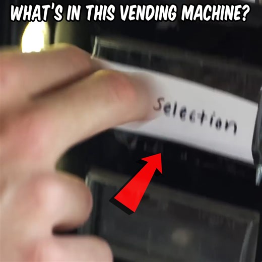 This Vending Machine Is Very Unique! 🤔 | The Fish Guys