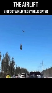 This picture has been the talk of the town. It depicts Bigfoot being airlifted away by a helicopter. Whether this is real or not it brings to mind the eruption at Mt. Saint Helens where Bigfoot bodies were evacuated away by the National Guard in what was called a “Special Asset Recovery.” Do you think the government is covering up proof of Bigfoot? | Boise Bigfoot
