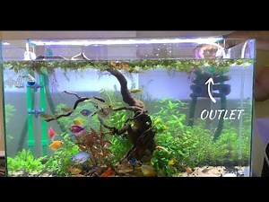 Eheim 250 | Canister filter | setup video