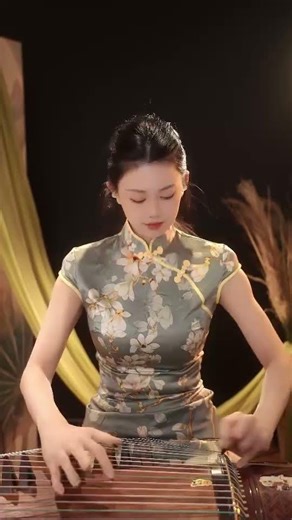 古筝 一花一剑 One Flower, One Sword kung fu #music #cover