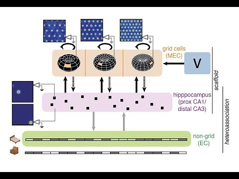 Modelling spatial mapping, memory and their underlying mechanisms in the hippocampal complex